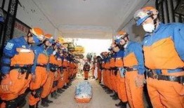 杀虫队队员爆料视频,揭秘虫害防治背后的惊险瞬间